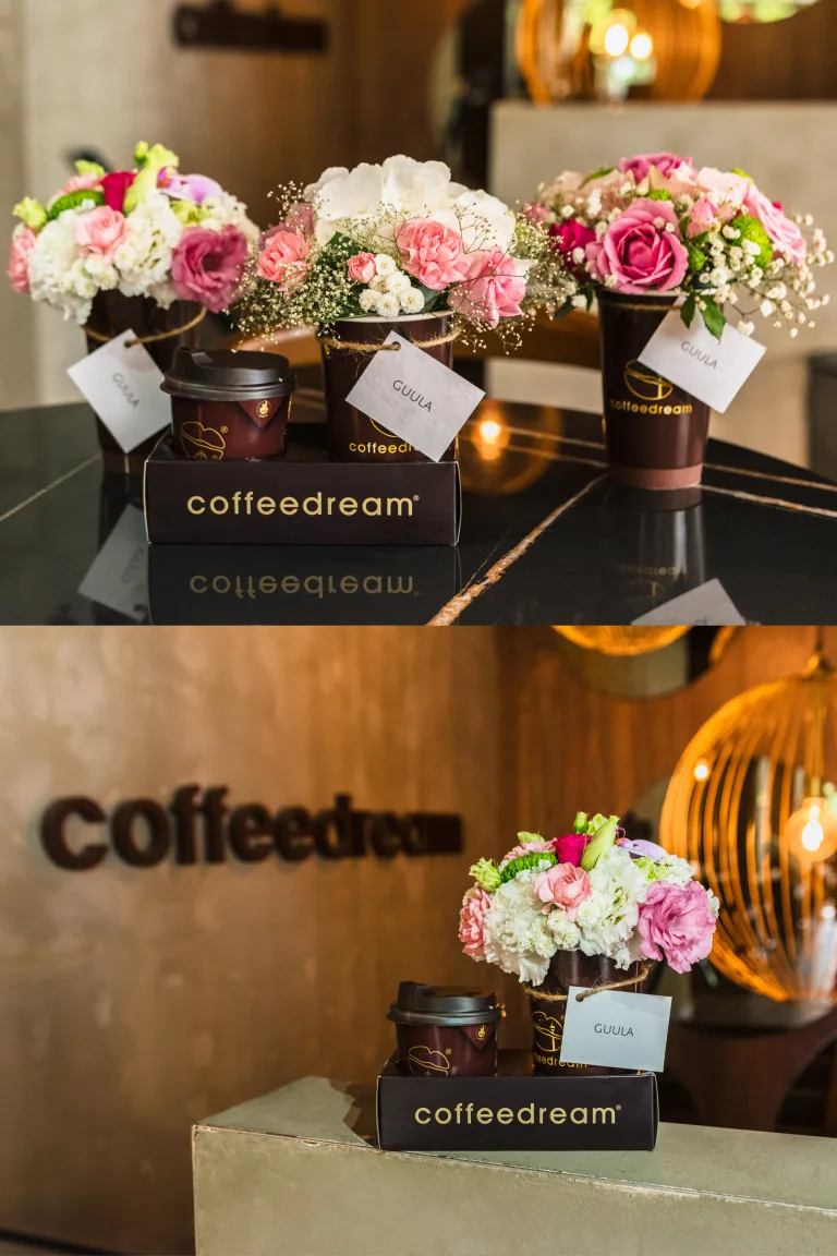 Coffedream & GUULA